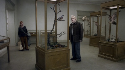 Un piccione seduto su un ramo riflette sull'esistenza - Nils Westblom 'Sam' in una foto di scena - Un piccione seduto su un ramo riflette sull'esistenza