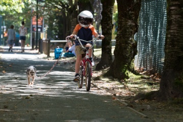 Wonder - Jacob Tremblay 'Auggie Pullman' col cane Gidget in una foto di scena - Wonder