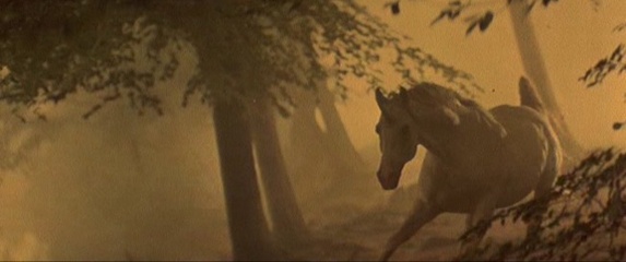 Blade Runner: The Final Cut - L'Unicorno' in una foto di scena - Blade Runner: The Final Cut