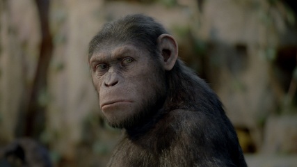 L'alba del pianeta delle scimmie - Andy Serkis 'Caesar' in una foto di scena - King Kong